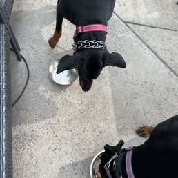 We always bring their lunch so they can join us. We always bring their lunch so they can join us.