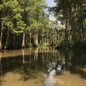 Pearl River Swamp Tours - Tours Near Me - Slidell, Louisiana Pearl River Swamp Tours - Tours Near Me - Slidell, Louisiana
