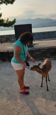 Momijidani Park by null