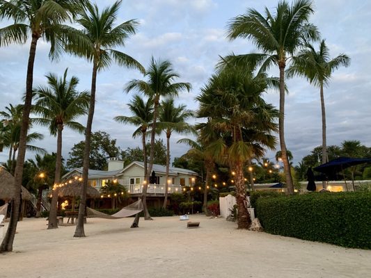 Coconut Palm Inn by null