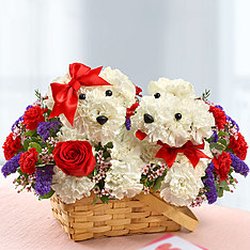 Harvey's Florist & Greenhouse - Lucky in love dogable