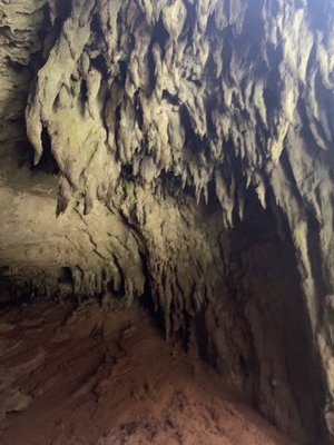 Parque Nacional de las Cavernas del Río Camuy by null