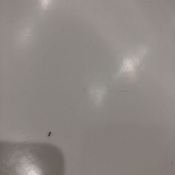 Sunset Marquis - my ant friend - Hotels Near Me - West Hollywood, California