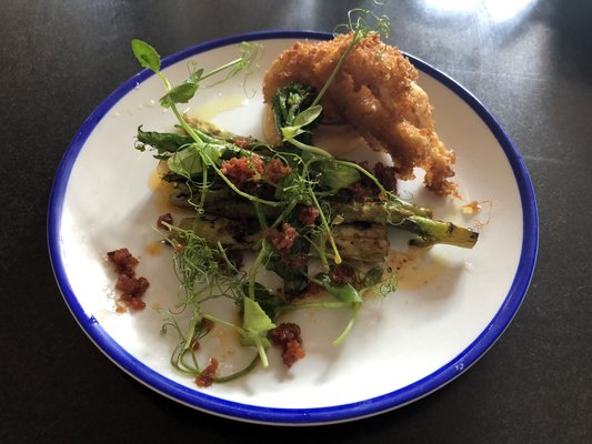 The Tommyfield by null