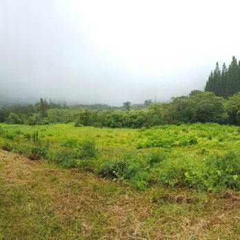 Lulumahu Falls - Views (drake voice) - Hiking Near Me - Honolulu, Hawaii Lulumahu Falls - Views (drake voice) - Hiking Near Me - Honolulu, Hawaii