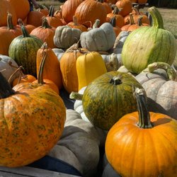 Lyon Farms