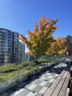 Vancouver Public Library - Central Library by null