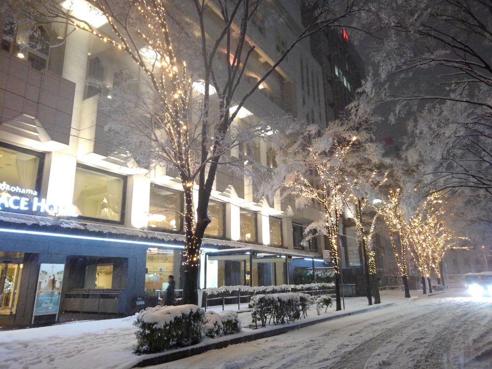 Shin Yokohama Grace Hotel