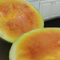 Pennington & Sons Melon Shed - Orange watermelon