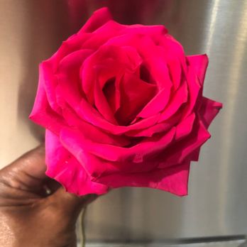 Auto Diagnostic & Repair - A rose from A complete stranger - Auto Repair Near Me - Antioch, California Auto Diagnostic & Repair - A rose from A complete stranger - Auto Repair Near Me - Antioch, California