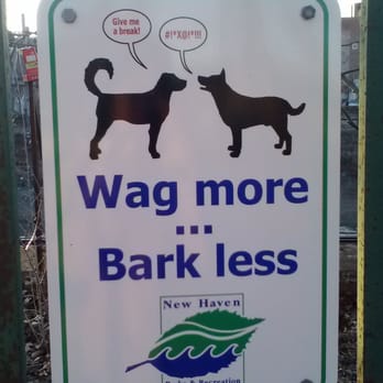 Union Street Dog Park - Dog Parks Near Me - New Haven, Connecticut Union Street Dog Park - Dog Parks Near Me - New Haven, Connecticut