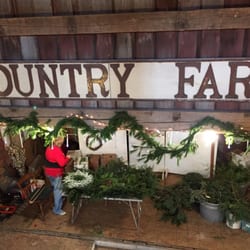 Clearview Family Tree Farm - Beautiful barn at Clearview - now offering special events in the barn and newly remodeled loft area.