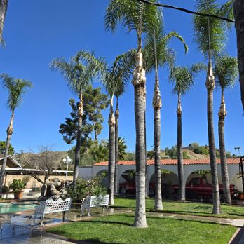 Isaac's Tree Service - Tree Services Near Me - colton, California Isaac's Tree Service - Tree Services Near Me - colton, California