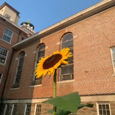 St. Joseph Farm by null