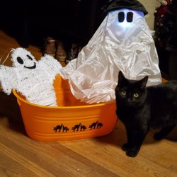 4R Home - $1 per item (cat not included)