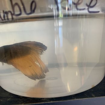 Petco - Pet Stores Near Me - Albuquerque, New Mexico