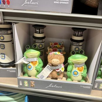 ALDI - Isle of Shame - Grocery Near Me - Liverpool, New York