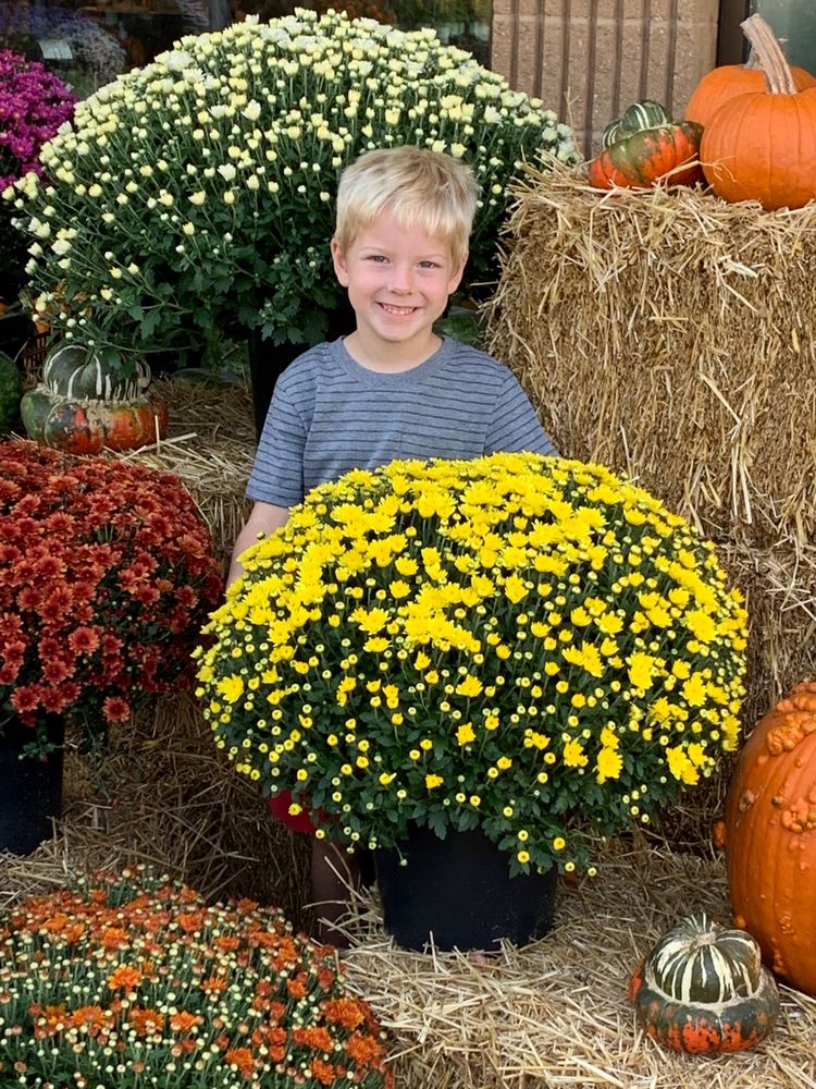 OWEN NURSERY CLOSED Updated June 2024 17 Photos & 12 Reviews 10