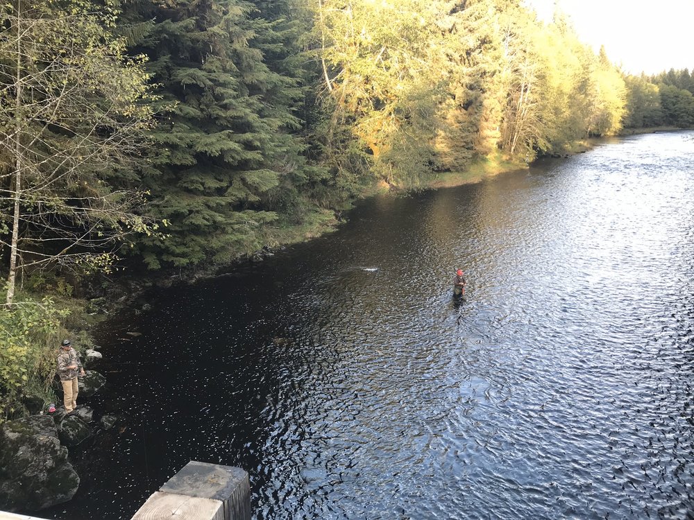 ADVENTURE ALASKA SOUTHEAST 10 Photos Thorne Bay, Alaska Travel