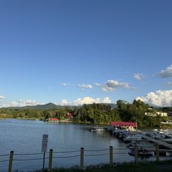 Oasis Cove Marina & Lodging - The Scenery at Oasis Cove Marina & Lodging