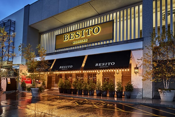 The Shops at Chestnut Hill by null
