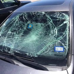 D & D Auto Glass