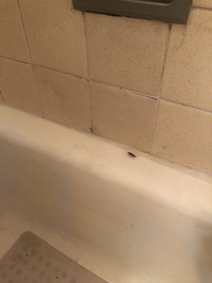 Beacon Properties by null