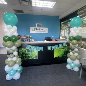 The Balloon Dawg - Corporate events - Balloon Services Near Me The Balloon Dawg - Corporate events - Balloon Services Near Me