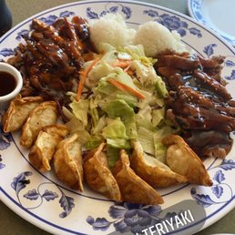 Family platter teriyaki chicken with potstickers and salad. Family platter teriyaki chicken with potstickers and salad.