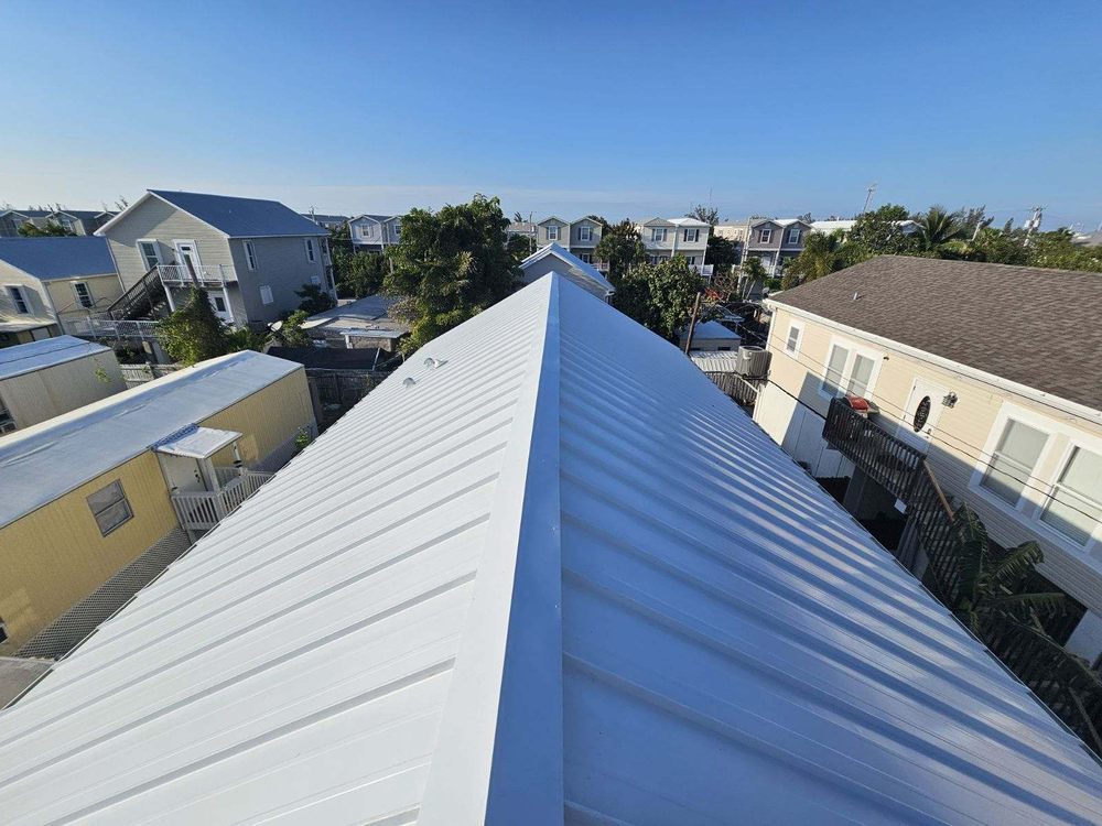 Slide of Roof Assassins