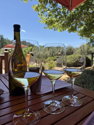 Tablas Creek Vineyard by null
