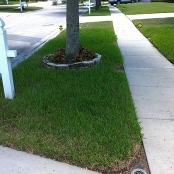 Greenworks - Pest Control Near Me - Plant City, Florida Greenworks - Pest Control Near Me - Plant City, Florida