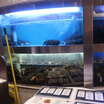 Starchiva - Fish/crustacean tank by the entrance. - Chinese Near Me - Richmond Hill, Ontario Starchiva - Fish/crustacean tank by the entrance. - Chinese Near Me - Richmond Hill, Ontario