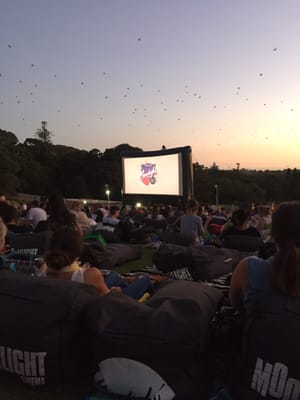 Moonlight Cinema Sydney by null