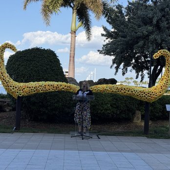 Cafe Gala - Spanish Near Me - St. Petersburg, Florida