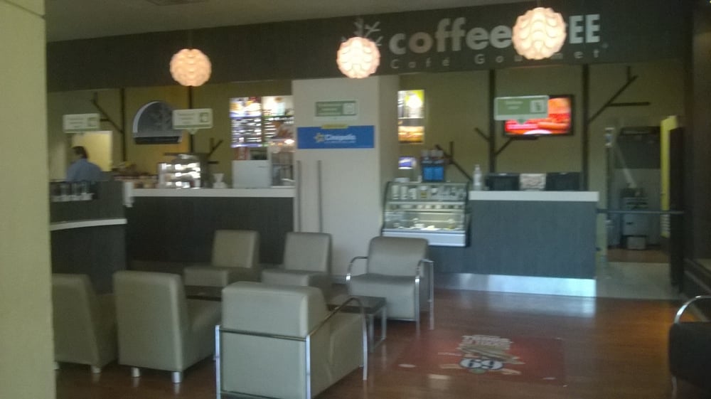Coffee Tree