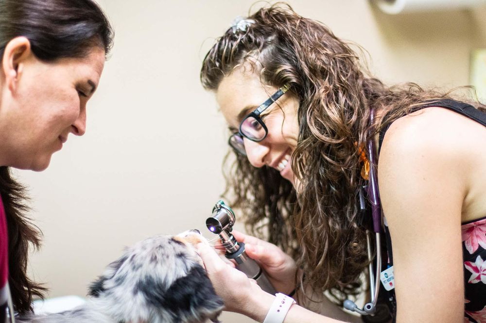 BEST CARE PET HOSPITAL Updated September 2024 29 Photos 1102 E 10th St, Sioux Falls, South