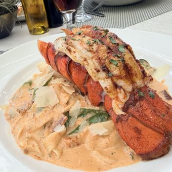 Galletto Ristorante - Lobster fettuccine alfredo - Italian Near Me - Modesto, California