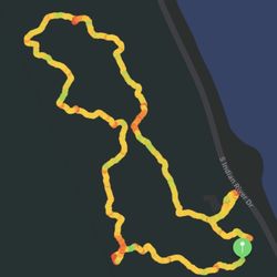 Walton Scrub Preserve