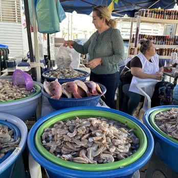 Tomatl Experiences - Walking tour fish market - Food Tours Near Me - Mazatlán, SIN