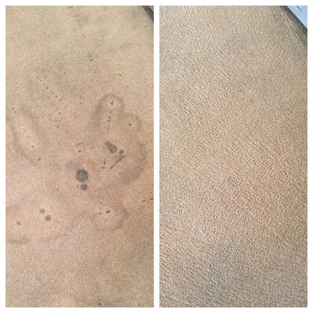 Capital Carpet Cleaning & Repairs - Before and after!  The hideous stain from our wine cooler! Travis worked his magic! - Carpet Cleaning Near Me