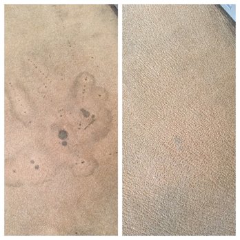 Capital Carpet Cleaning & Repairs - Before and after!  The hideous stain from our wine cooler! Travis worked his magic! - Carpet Cleaning Near Me