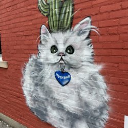 Oscar's Wall Murals