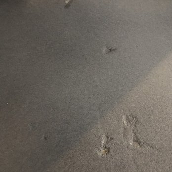 Artcrete Designs - Holes that she didn't patch as per our agreement before she started the job - Masonry/Concrete Near Me - Austin, Texas