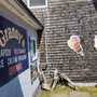 Granny's Seafood Restaurant & Ice Cream Parlour