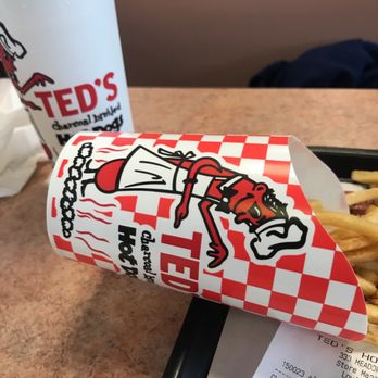Ted's Hot Dogs - a hot dog and fries - Burgers Near Me - North Tonawanda, New York