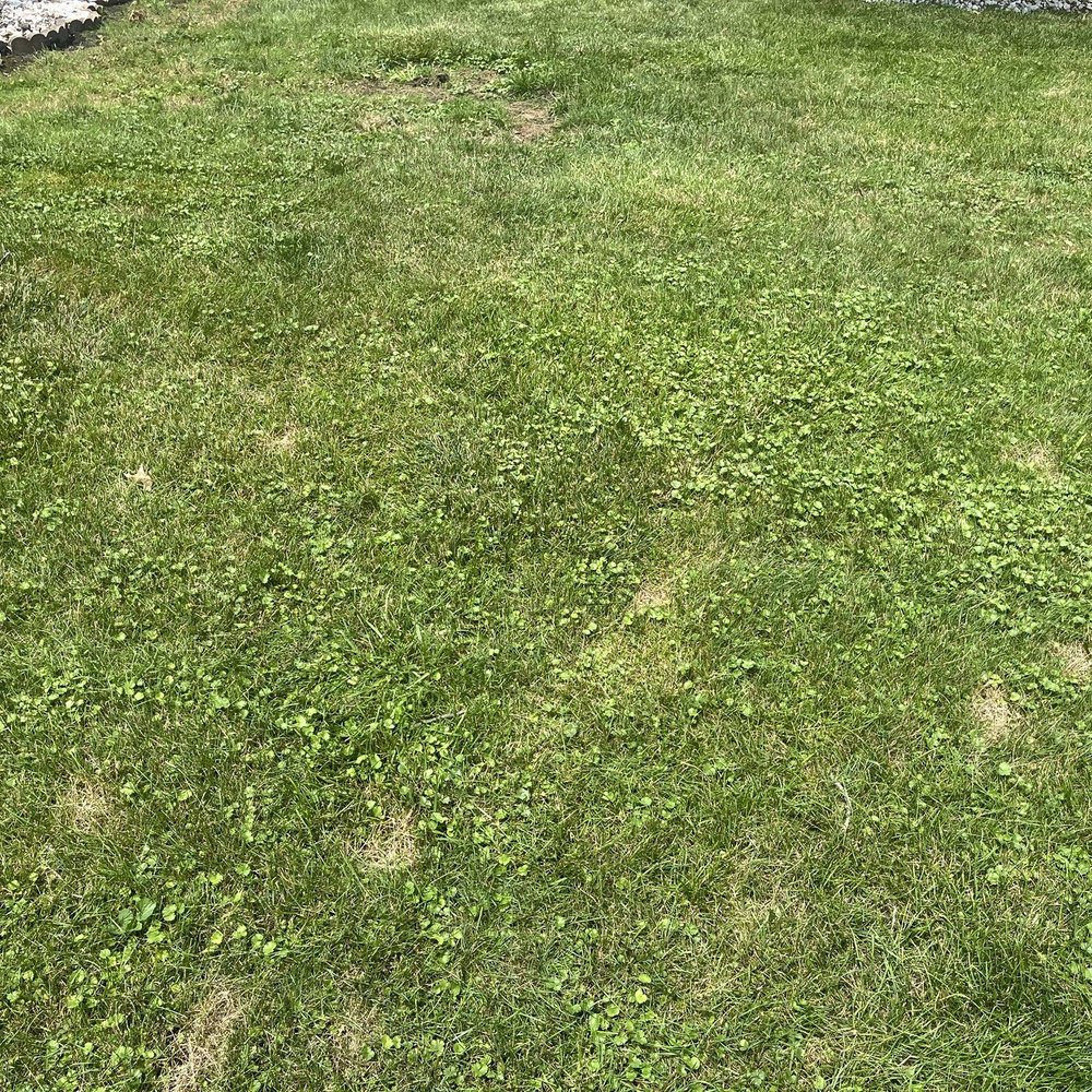 Green Services - Pest Control Near Me - Joliet, Illinois