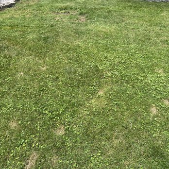 Green Services - Pest Control Near Me - Joliet, Illinois
