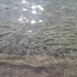 La Speranza