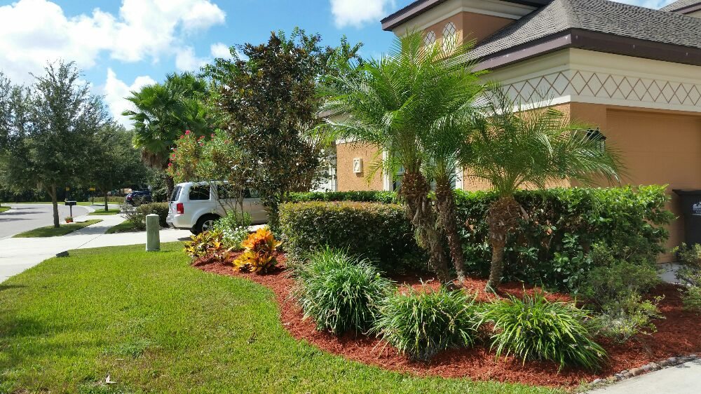 DALE COMPLETE LANDSCAPING 41 Photos Wesley Chapel, FL Yelp
